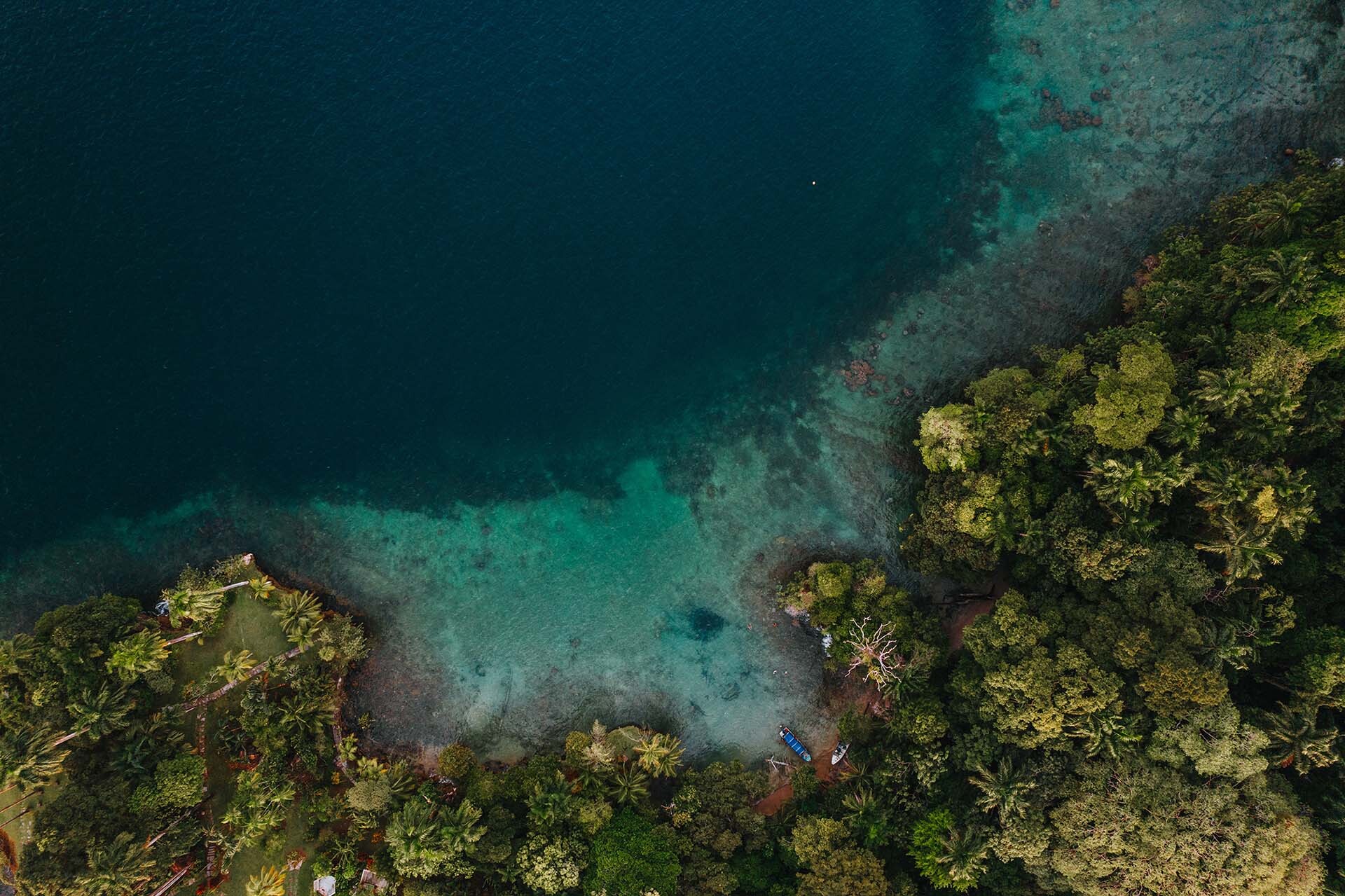 Bocas Real Estate